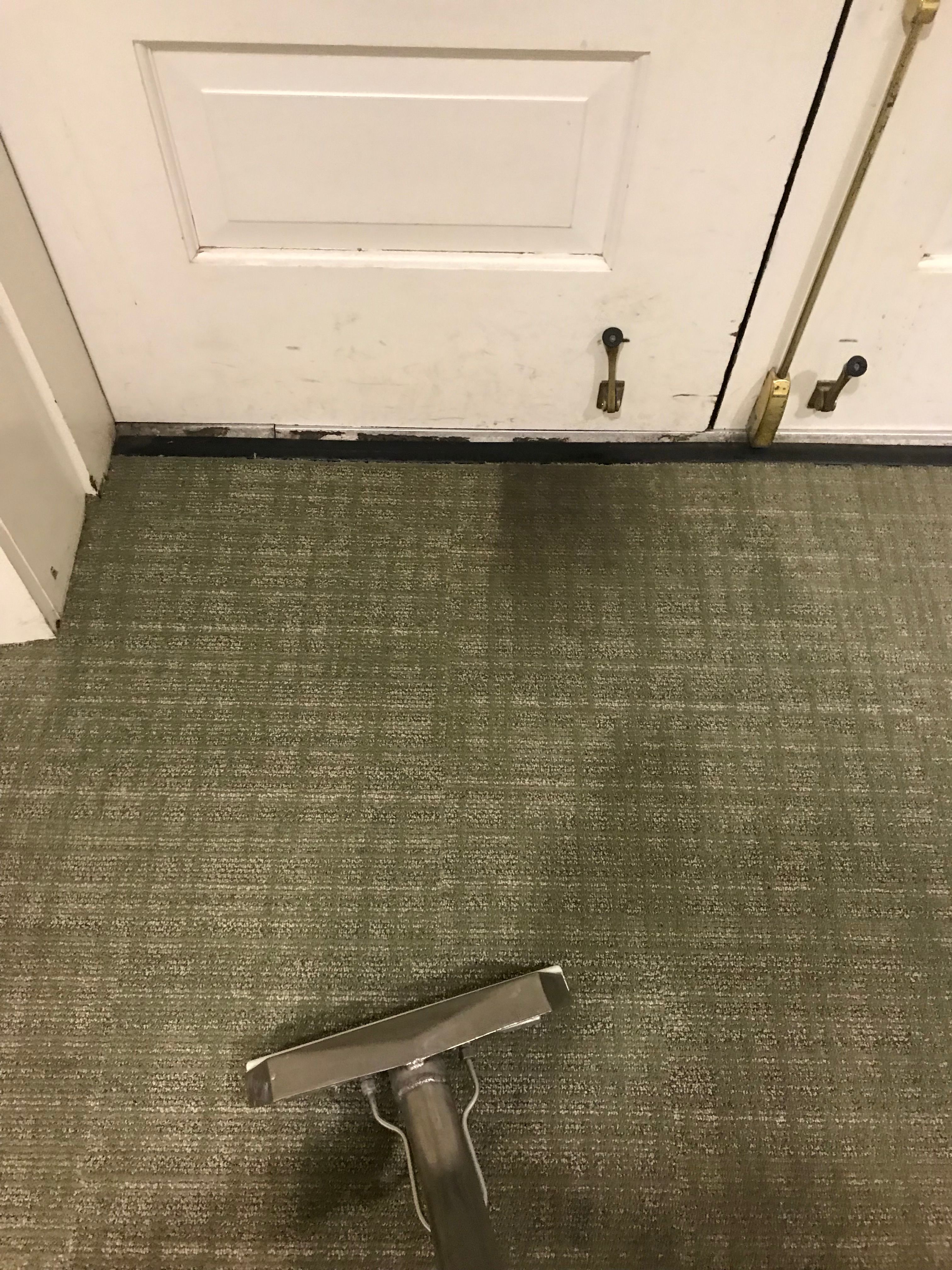 Commercial low-pile carpet being cleaned near an office doorway