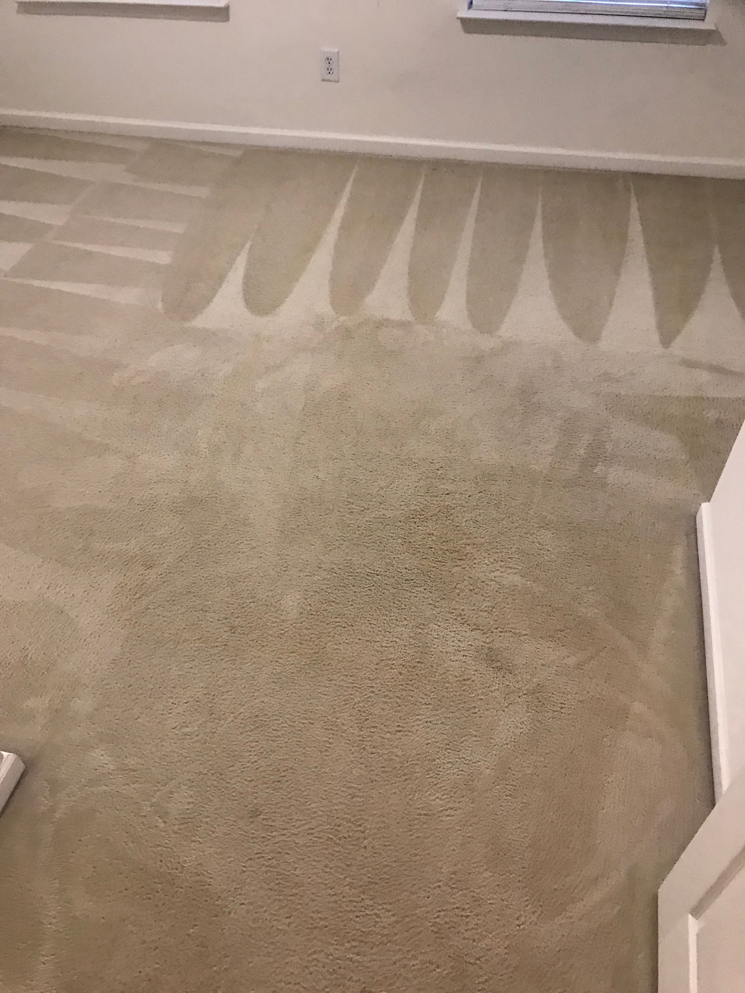 Cleaned bedroom carpet with even vacuum grooming lines