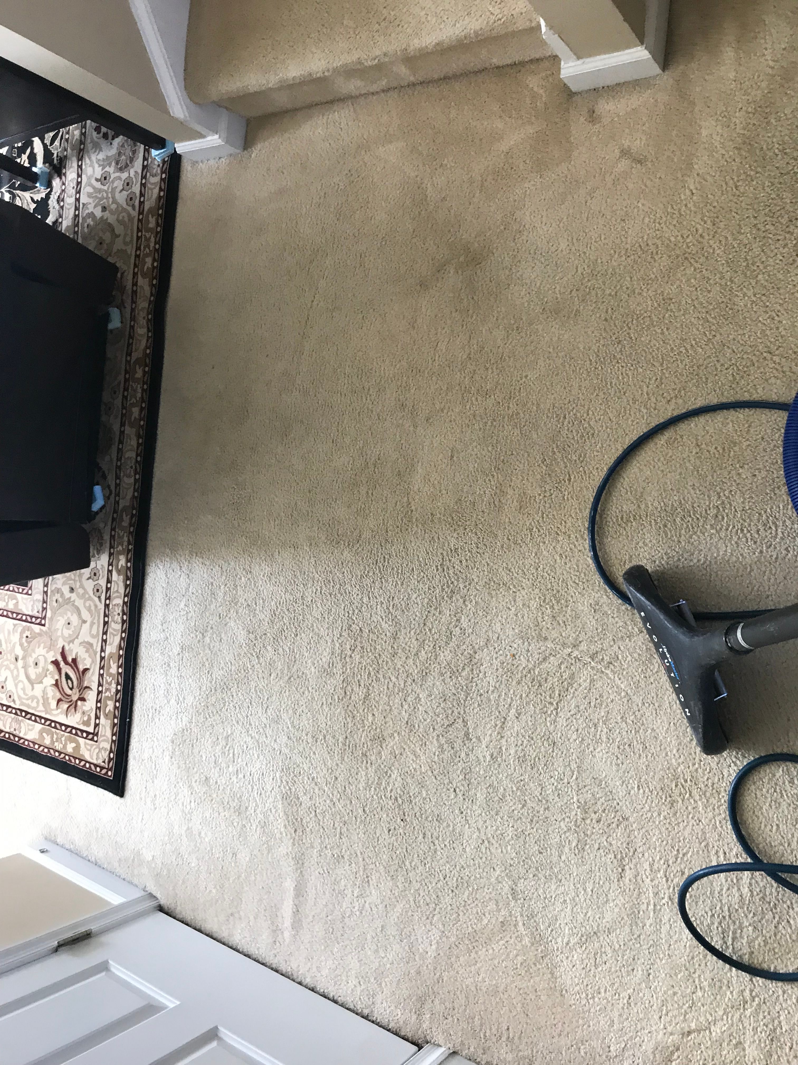 Patterned area rug on clean carpet near a staircase