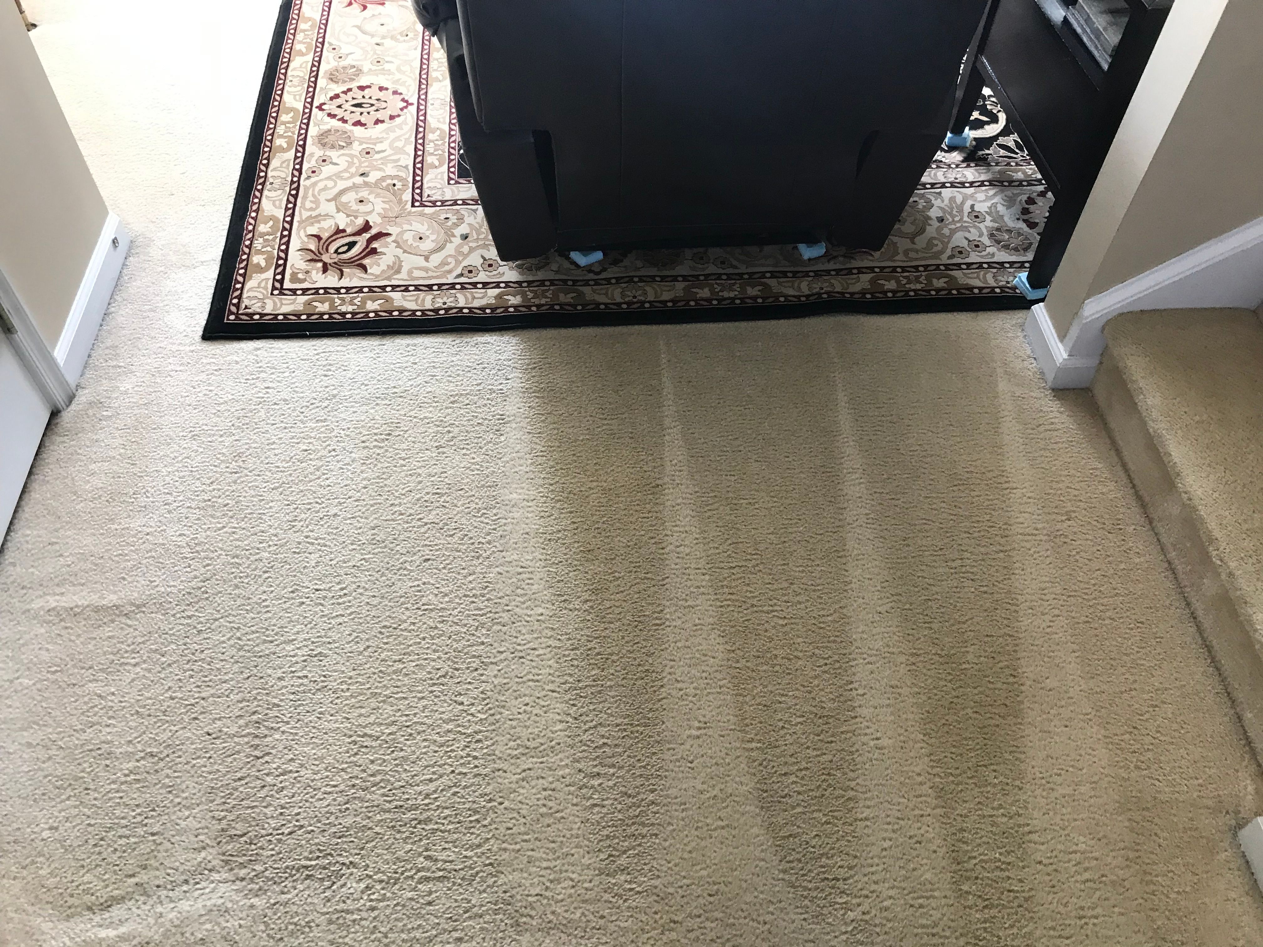 Ornate area rug on freshly cleaned carpet beside a recliner