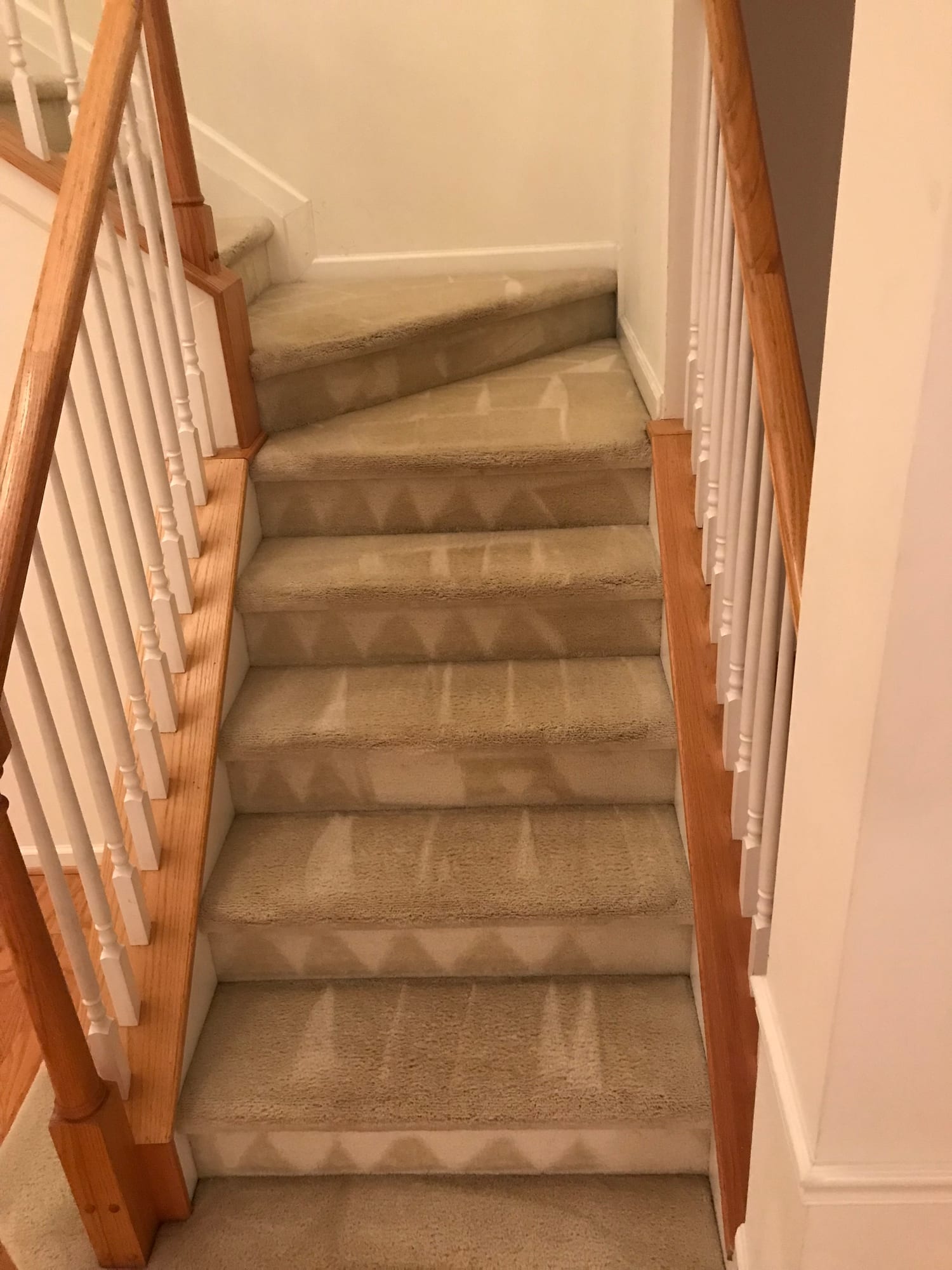 Freshly cleaned carpeted staircase with wooden railings